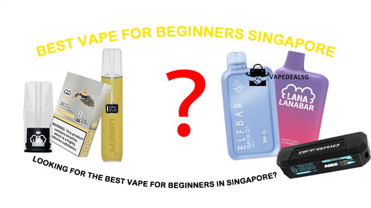 Best Vape for Beginners Singapore (2026 Guide) | Vape Deal SG